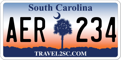 SC license plate AER234