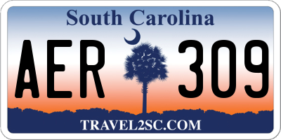 SC license plate AER309