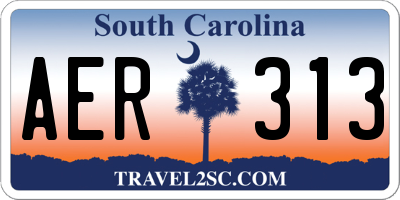 SC license plate AER313