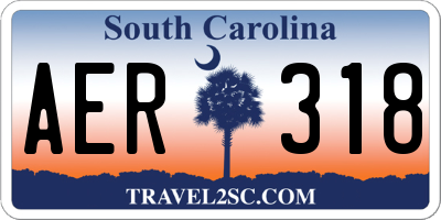 SC license plate AER318