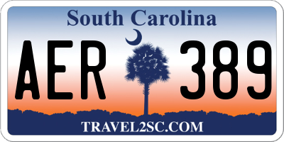 SC license plate AER389