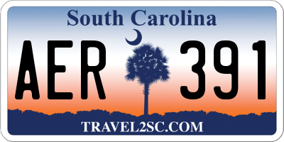 SC license plate AER391