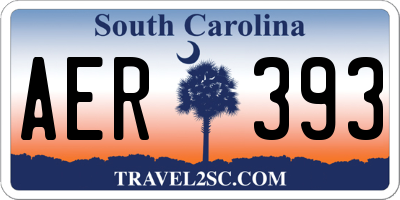 SC license plate AER393
