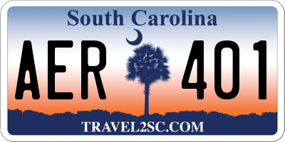 SC license plate AER401