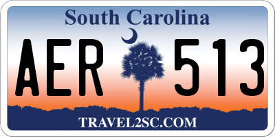 SC license plate AER513