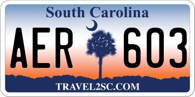 SC license plate AER603