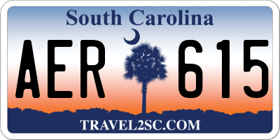 SC license plate AER615