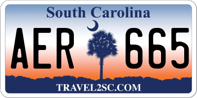 SC license plate AER665