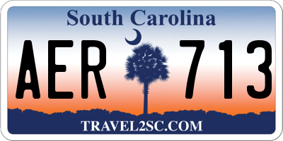 SC license plate AER713
