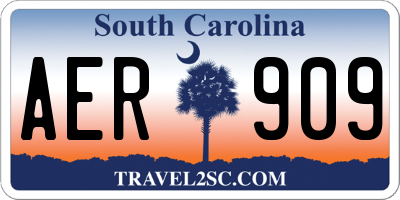 SC license plate AER909