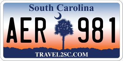 SC license plate AER981