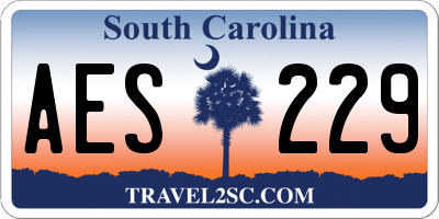 SC license plate AES229