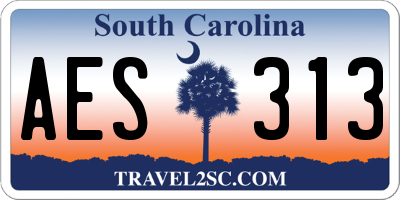 SC license plate AES313