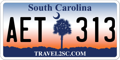 SC license plate AET313
