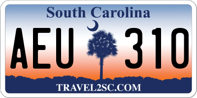 SC license plate AEU310