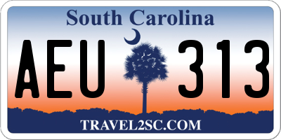 SC license plate AEU313