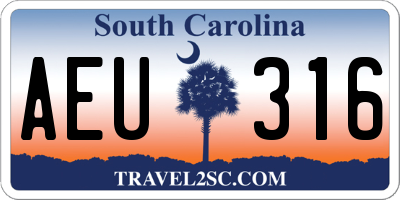 SC license plate AEU316