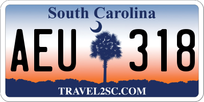 SC license plate AEU318