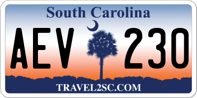 SC license plate AEV230