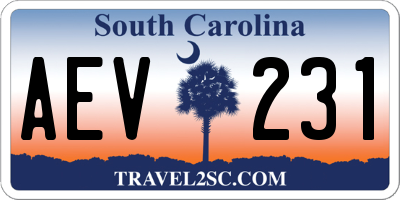 SC license plate AEV231