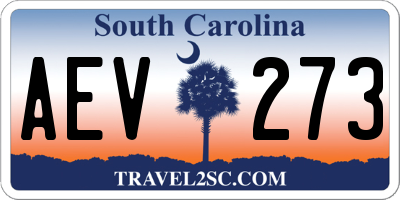 SC license plate AEV273