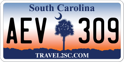 SC license plate AEV309