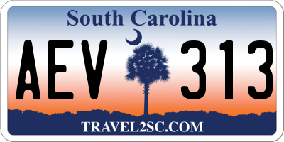 SC license plate AEV313