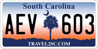 SC license plate AEV603