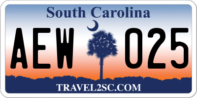 SC license plate AEW025