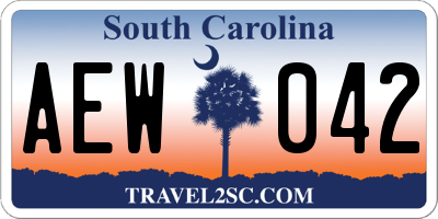 SC license plate AEW042