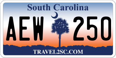 SC license plate AEW250