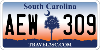 SC license plate AEW309