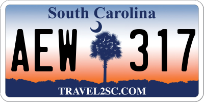 SC license plate AEW317