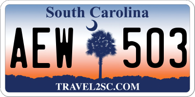 SC license plate AEW503
