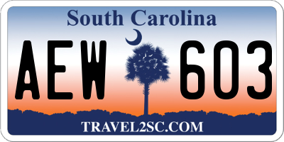 SC license plate AEW603