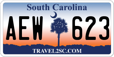 SC license plate AEW623