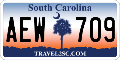 SC license plate AEW709