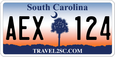 SC license plate AEX124