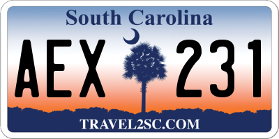 SC license plate AEX231