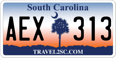 SC license plate AEX313
