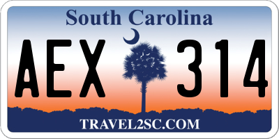 SC license plate AEX314