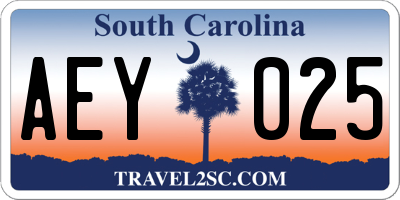 SC license plate AEY025