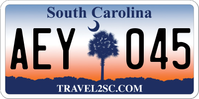 SC license plate AEY045