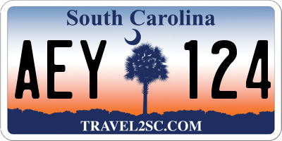 SC license plate AEY124