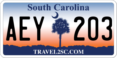 SC license plate AEY203
