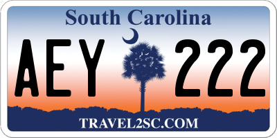 SC license plate AEY222