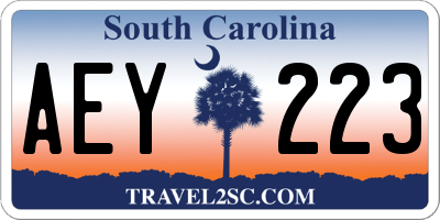SC license plate AEY223