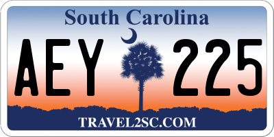 SC license plate AEY225