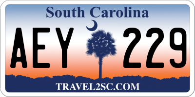 SC license plate AEY229