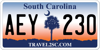 SC license plate AEY230